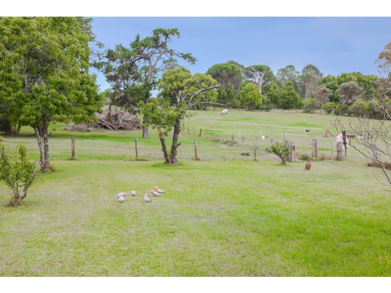 161 Richardson Road, Raymond Terrace NSW 2324