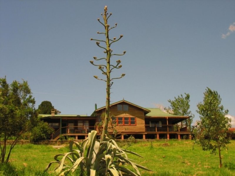Wyndham NSW 2550