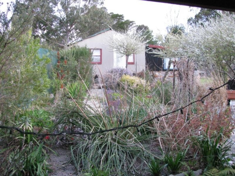 1-5 Nangutta Street, Towamba NSW 2550