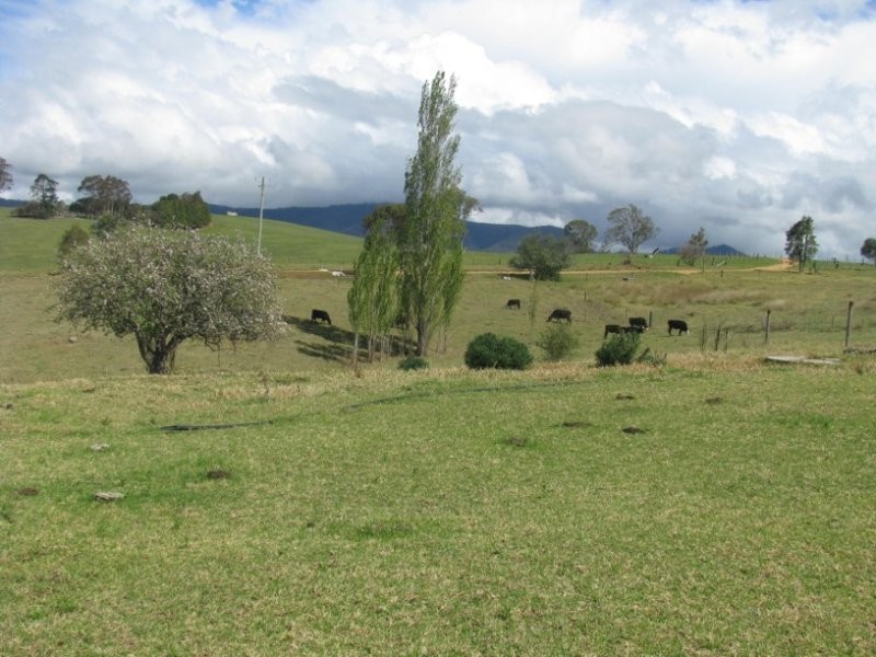 415 Towridgee Lane, Toothdale NSW 2550