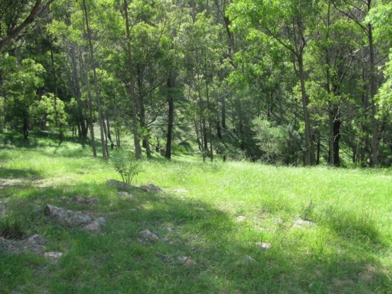 684 Filmer-Williams Road, Mogilla NSW 2550
