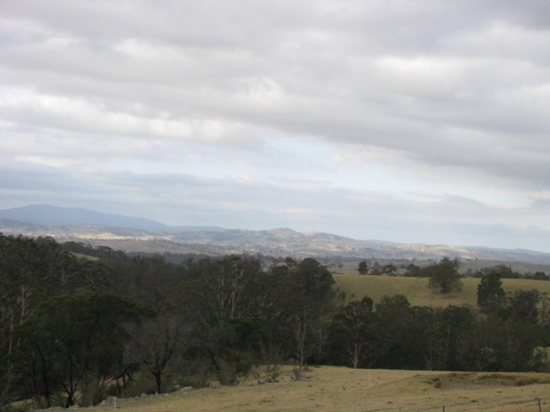 684 Filmer-Williams Road, Mogilla NSW 2550