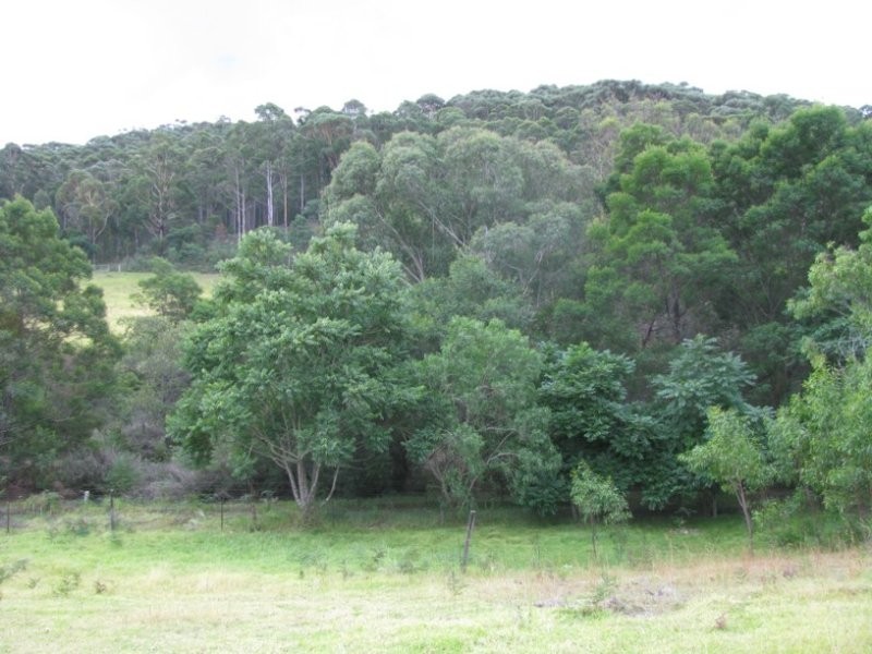 2511 Yellow Pinch Road, Merimbula NSW 2548