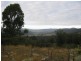 Lot 111 Sheepskin Road, Burragate NSW 2550