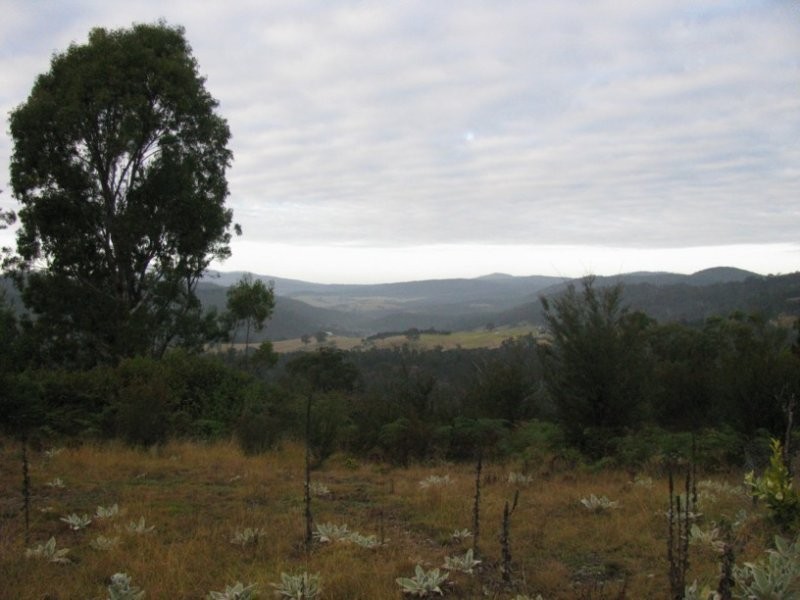 Lot 111 Sheepskin Road, Burragate NSW 2550