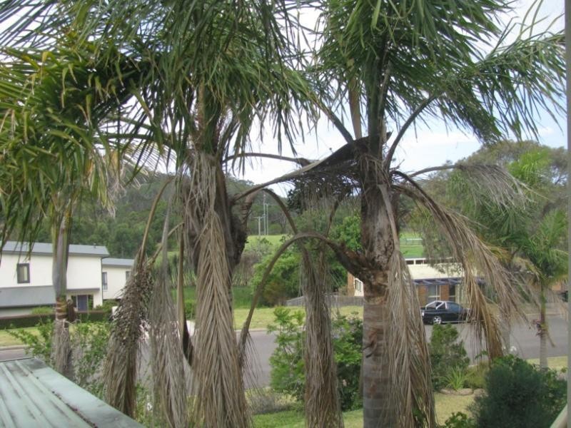 21 Berrambool Drive, Merimbula NSW 2548