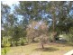 Millingandi NSW 2549