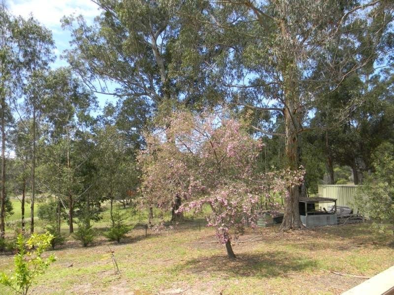Millingandi NSW 2549