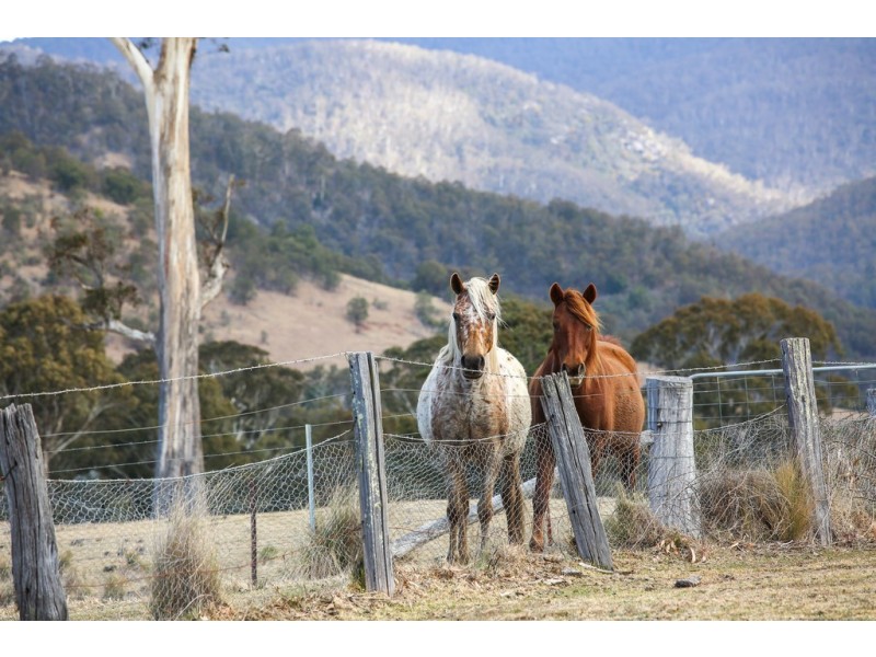 468 New Buildings Road, Wyndham NSW 2550