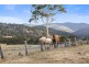 468 New Buildings Road, Wyndham NSW 2550