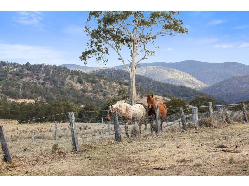 468 New Buildings Road, Wyndham NSW 2550