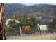 468 New Buildings Road, Wyndham NSW 2550