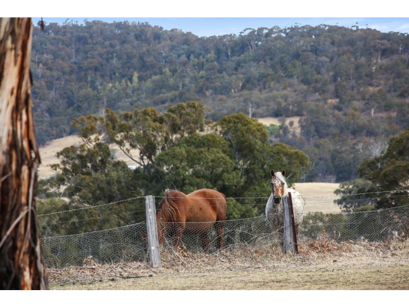 468 New Buildings Road, Wyndham NSW 2550