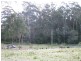Kalaru NSW 2550