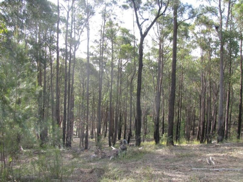 Lot 14 Short Cut Road, Pambula NSW 2549