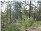 Lot 14 Short Cut Road, Pambula NSW 2549