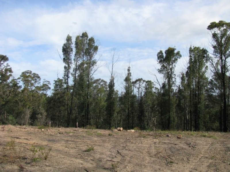 Lot 16 Princes Highway, Pambula NSW 2549