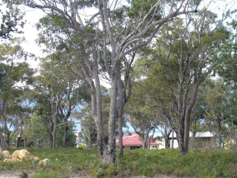 3 (Lot 6) Rebecca Place, Tura Beach NSW 2548