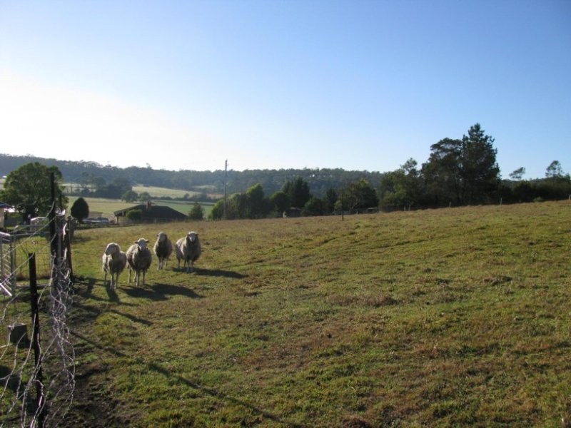 89 Nethercote Road, Pambula NSW 2549