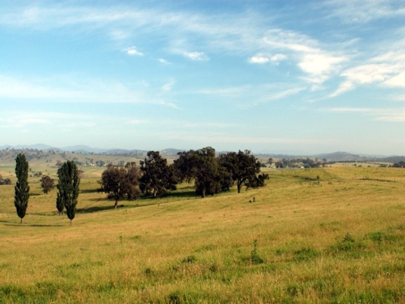 1070/1 Princes Highway, Frogs Hollow NSW 2550