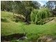 1070/1 Princes Highway, Frogs Hollow NSW 2550