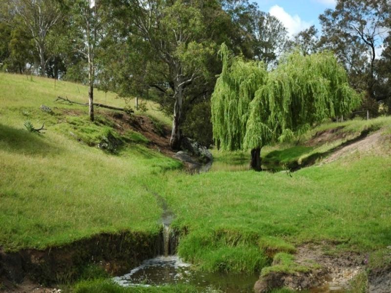 1070/1 Princes Highway, Frogs Hollow NSW 2550