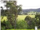 Lot 305 King Street, Pambula NSW 2549