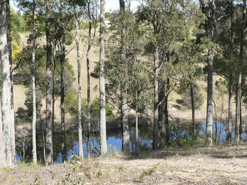 17 Rileys Road, Coolagolite NSW 2550