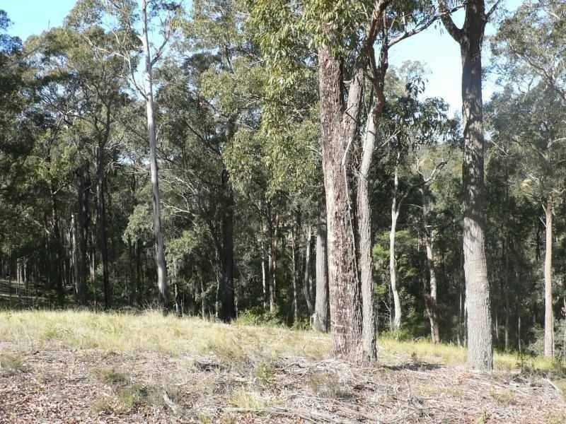 17 Rileys Road, Coolagolite NSW 2550