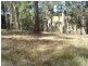 17 Rileys Road, Coolagolite NSW 2550