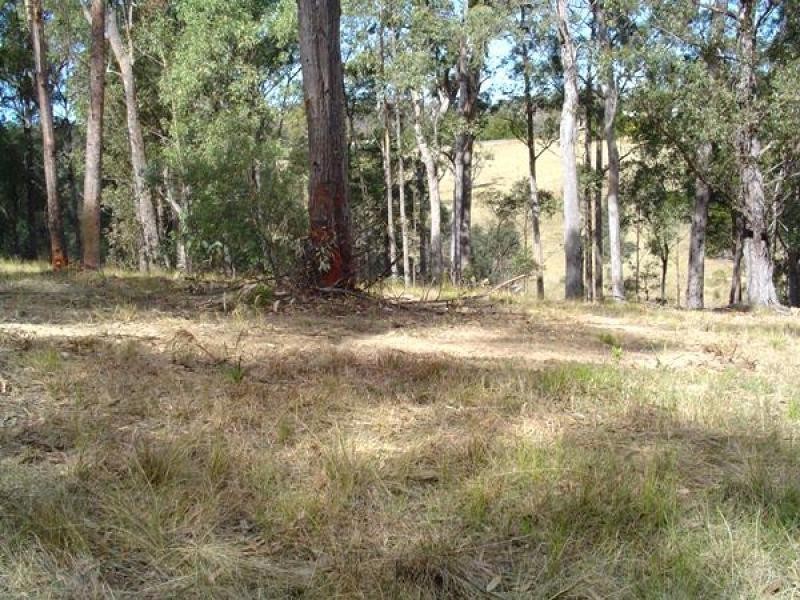 17 Rileys Road, Coolagolite NSW 2550