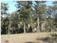 17 Rileys Road, Coolagolite NSW 2550