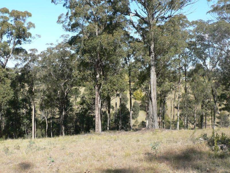 17 Rileys Road, Coolagolite NSW 2550