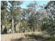 17 Rileys Road, Coolagolite NSW 2550