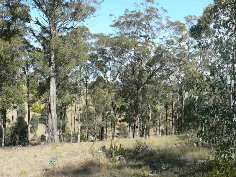 17 Rileys Road, Coolagolite NSW 2550