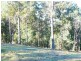 17 Rileys Road, Coolagolite NSW 2550