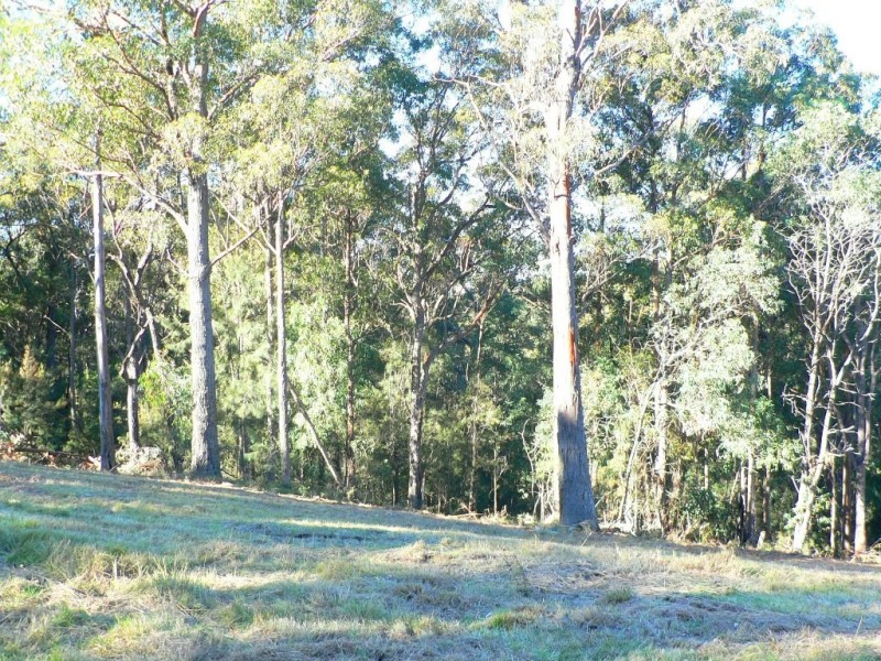 17 Rileys Road, Coolagolite NSW 2550