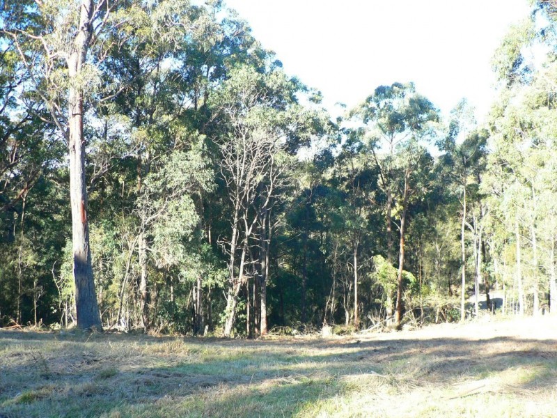 17 Rileys Road, Coolagolite NSW 2550
