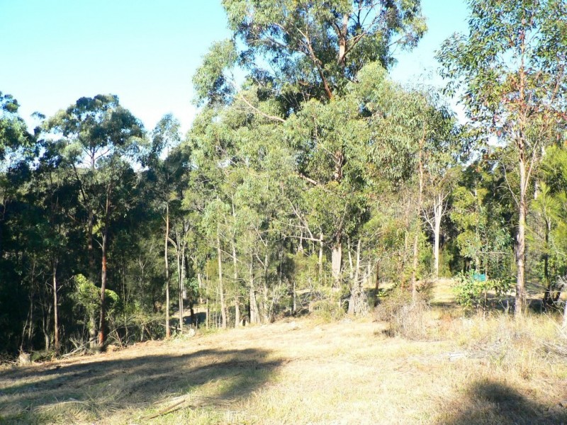17 Rileys Road, Coolagolite NSW 2550