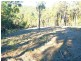 17 Rileys Road, Coolagolite NSW 2550