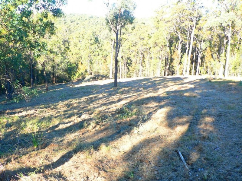 17 Rileys Road, Coolagolite NSW 2550