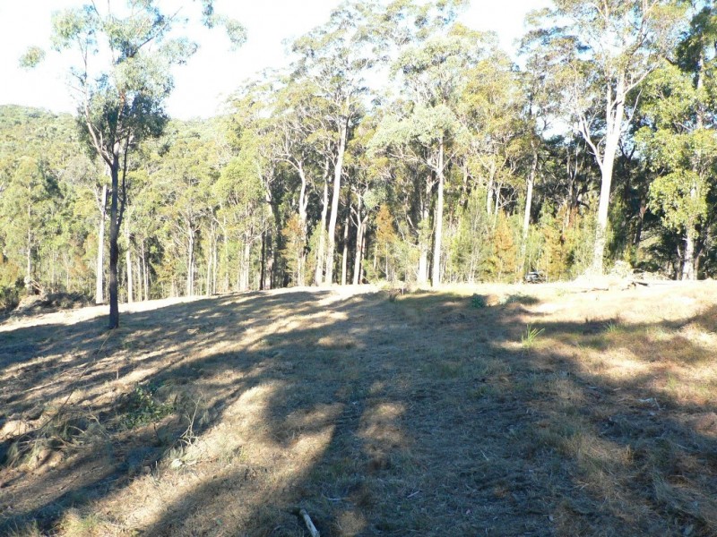 17 Rileys Road, Coolagolite NSW 2550