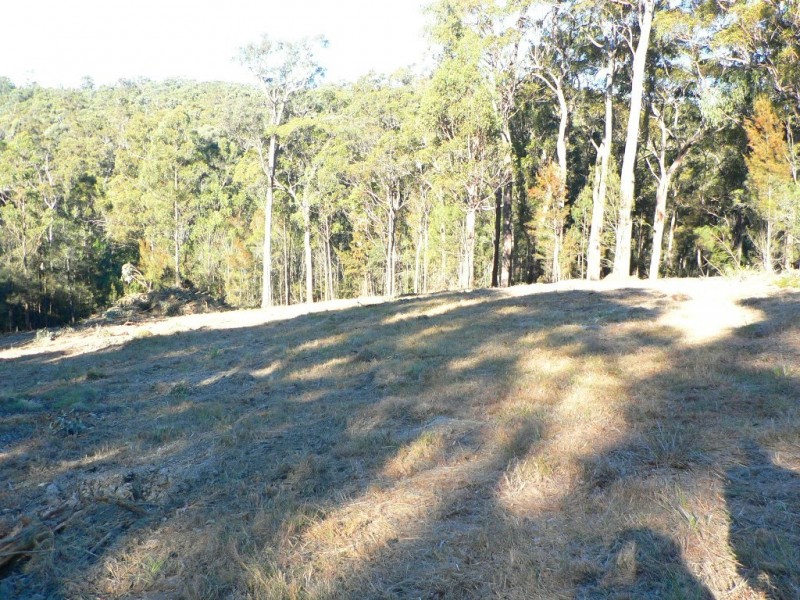 17 Rileys Road, Coolagolite NSW 2550