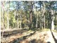 17 Rileys Road, Coolagolite NSW 2550