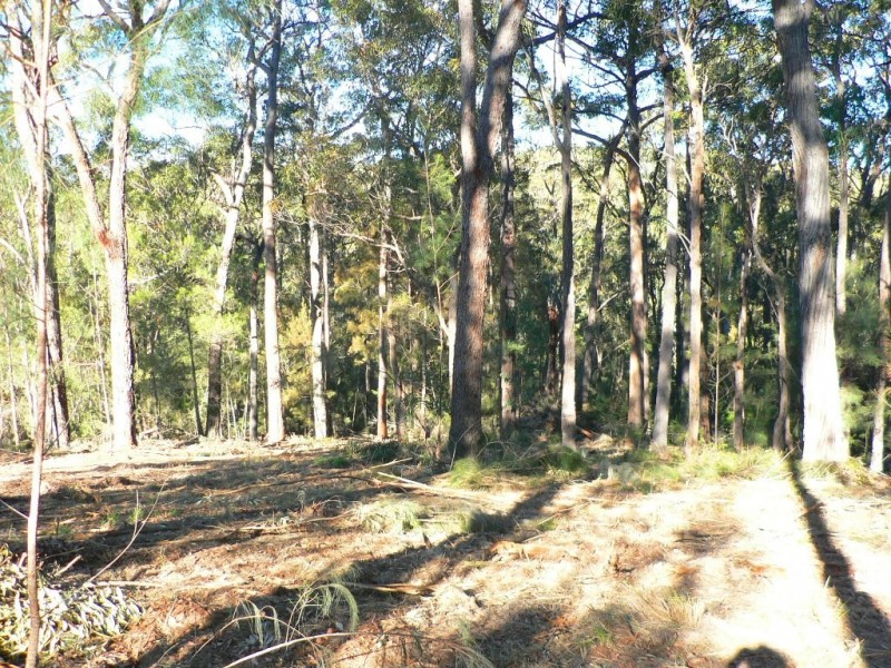 17 Rileys Road, Coolagolite NSW 2550