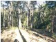 17 Rileys Road, Coolagolite NSW 2550
