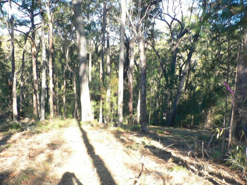17 Rileys Road, Coolagolite NSW 2550