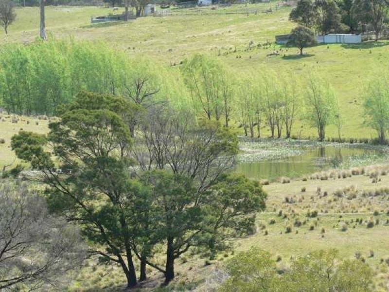 14 Upper Brogo Road, Quaama NSW 2550