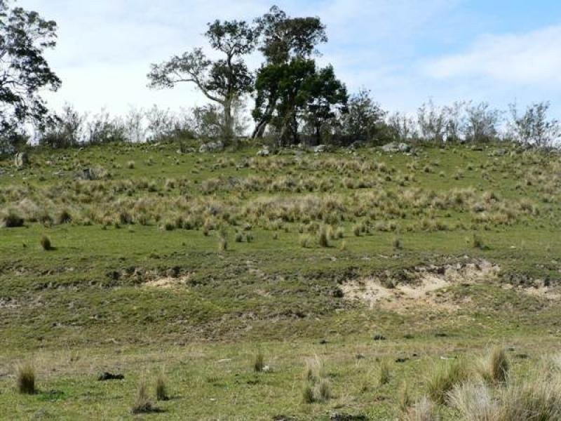 14 Upper Brogo Road, Quaama NSW 2550