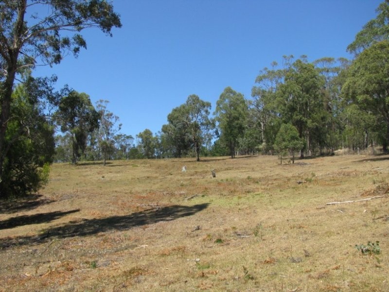 135 Manning Street, Towamba NSW 2550